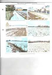 Zdjęcie 1