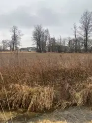 Zdjęcie 1