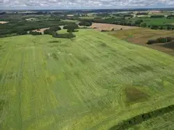 Zdjęcie 1