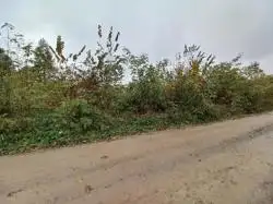 Zdjęcie 1