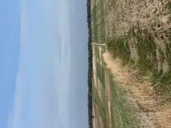 Zdjęcie 1