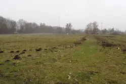 Zdjęcie 1