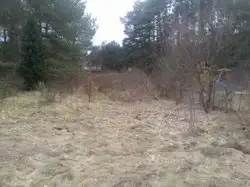 Zdjęcie 1