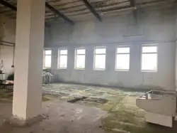 Zdjęcie 1
