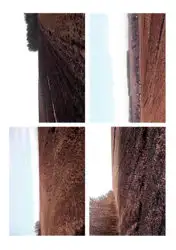 Zdjęcie 1