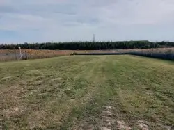 Zdjęcie 1