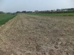 Zdjęcie 1