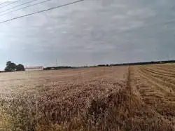 Zdjęcie 1