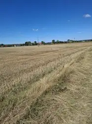 Zdjęcie 1
