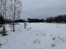 Zdjęcie 1