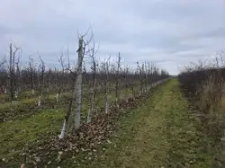 Zdjęcie 1
