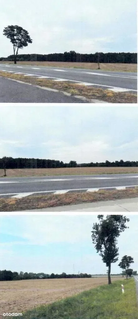 Zdjęcie 1