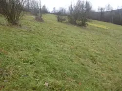 Zdjęcie 1