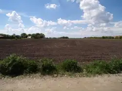 Zdjęcie 1