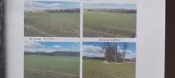 Zdjęcie 1