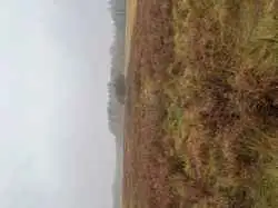 Zdjęcie 1