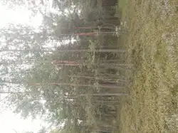 Zdjęcie 1