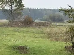 Zdjęcie 1