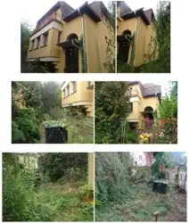 Zdjęcie 1