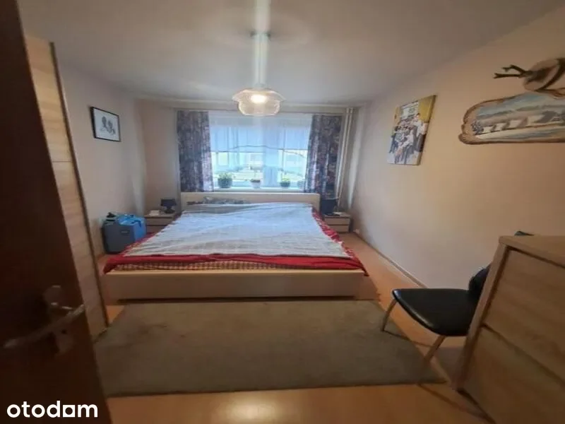 Zdjęcie 1