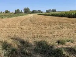 Zdjęcie 1