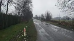 Zdjęcie 1
