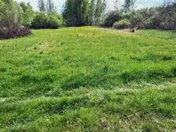 Zdjęcie 1