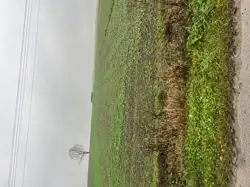 Zdjęcie 1