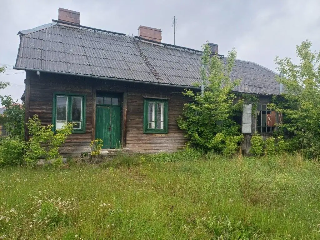 Zdjęcie 1