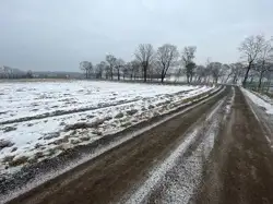 Zdjęcie 1