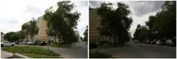 Zdjęcie 1