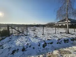 Zdjęcie 1