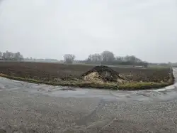 Zdjęcie 1