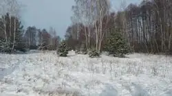 Zdjęcie 1