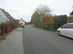 Zdjęcie 1