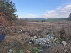 Zdjęcie 1