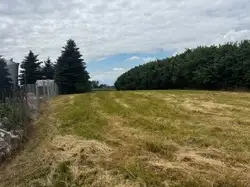 Zdjęcie 1