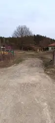 Zdjęcie 1