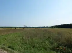 Zdjęcie 1