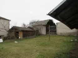 Zdjęcie 1
