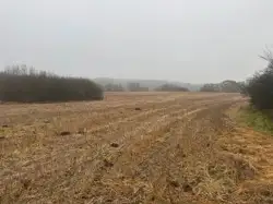 Zdjęcie 1