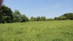 Zdjęcie 1