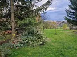 Zdjęcie 1