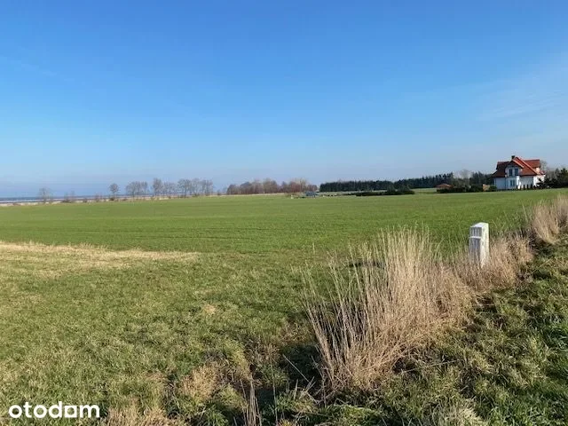 Zdjęcie 1