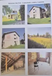 Zdjęcie 1