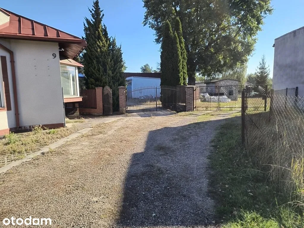 Zdjęcie 1