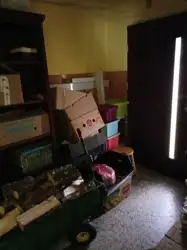 Zdjęcie 1