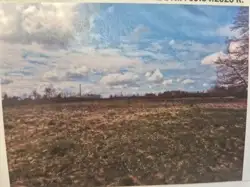 Zdjęcie 1