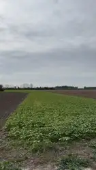Zdjęcie 1