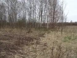 Zdjęcie 1